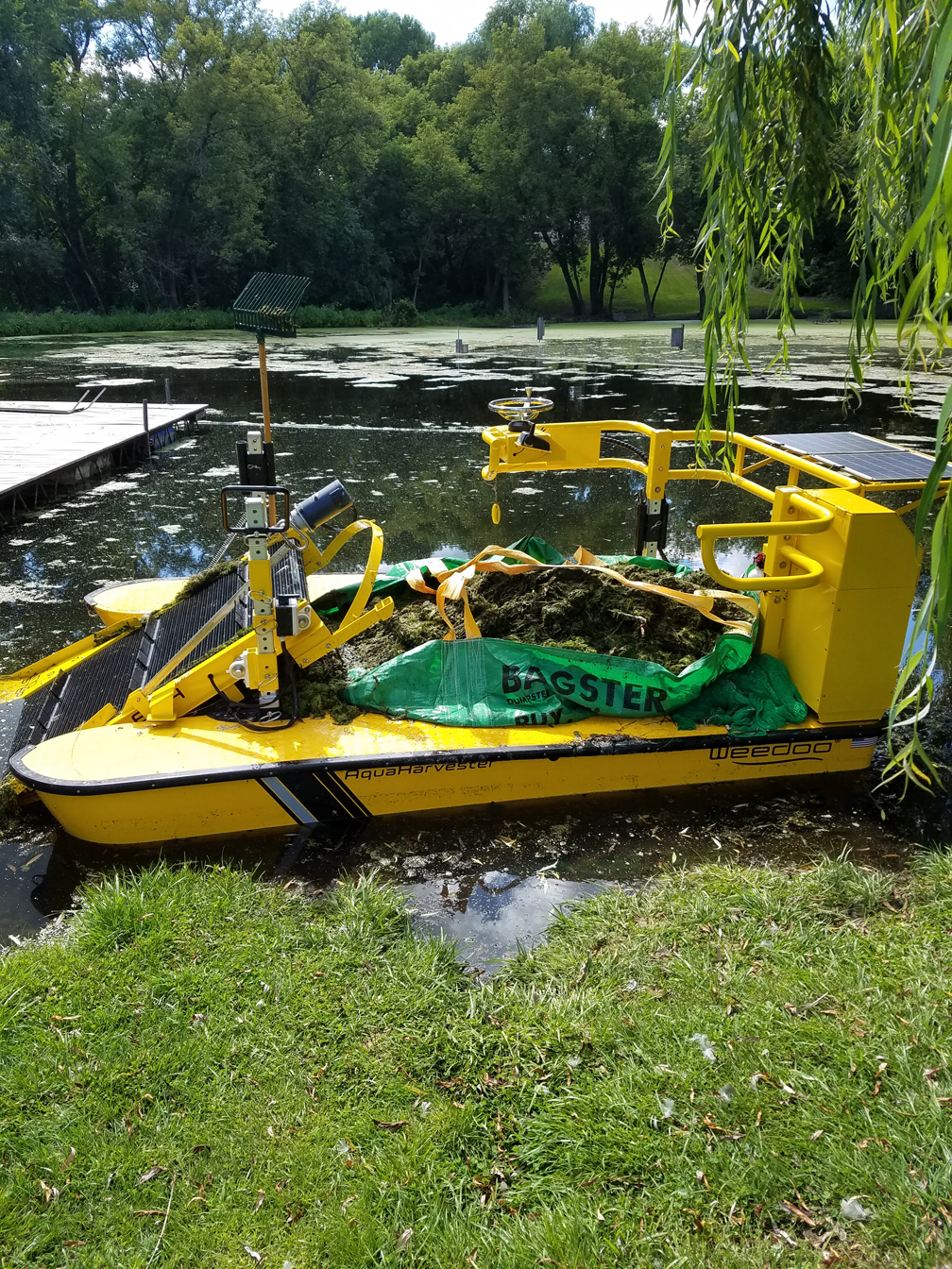 Cattail Removal, Lake Weed Removal, Pond Cleanup ...